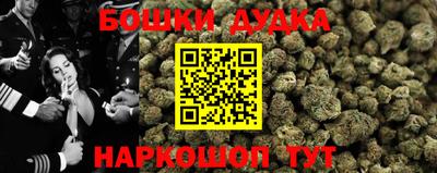 дмт Кингисепп