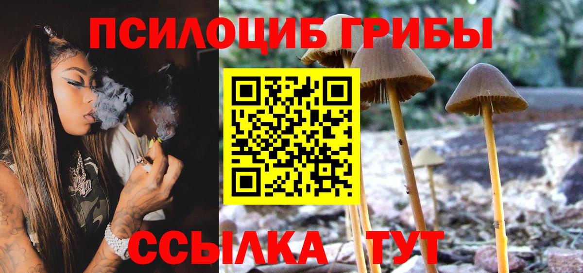 Уссурийск  Псилоцибиновые грибы MAGIC MUSHROOMS  купить закладку  Вход с VPN 